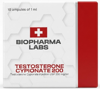 Cipionato 200